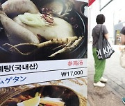 고물가에 무더위 겹치자 삼계탕 간편식 판매량 3배 ‘불티’