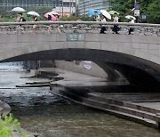 6년전에도 수천마리 죽었다…청계천 물고기 집단폐사 원인 조사