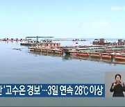 충남 서해안 ‘고수온 경보’…3일 연속 28℃ 이상