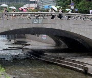 서울 청계천서 물고기 집단 폐사…원인 파악 중