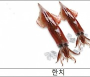 8월 수산물 민어·한치…어촌 여행지 충남 군헌마을·인천 영암마을 선정