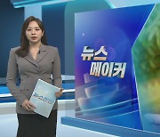 [뉴스메이커] 유해야생동물지정 '민물가마우지'