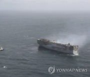 Netherlands Cargo Ship Fire