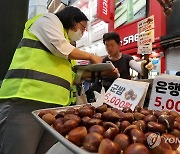 명동거리 노점 바가지요금 등 합동 특별점검