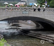 서울 청계천서 물고기 폐사…원인 조사