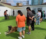 금천구, '세대공감 반려동물 진로탐색 프로젝트' 운영