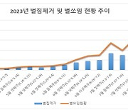 올 들어 벌 쏘임 사망 3명...소방청, '벌 쏘임 사고 주의보' 발령