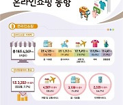 2분기 온라인 쇼핑 55조원 ‘역대 최대’… 여행·교통 서비스 37% 증가