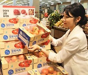 로코노미 이끄는 롯데마트, 강원도 토마토 축제 연다