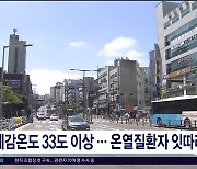 체감기온 33도 이상...온열질환자 잇따라