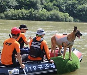 삼척서 90대 여성 실종, 사흘째 수색 진행