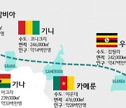 국제 식량위기 해결하는 'K-라이스벨트' 시동