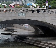 서울 청계천에서 물고기 폐사…서울시 “원인 조사”