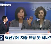 [뉴스추적] 민주당 혁신위 '휘청'…양이원영은 동조