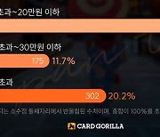 카드 소비자 10명 중 3명 "일본 여행비, 하루 10~20만원 적정"