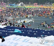 부산바다축제 오늘 개막…6일간 축제의 바다