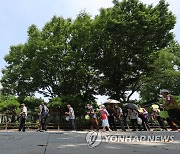 한여름 탑골공원 찾은 노인들