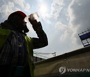 공사 현장에 내리쬐는 불볕