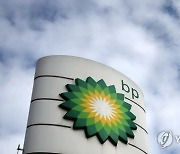 BRITAIN BP PROFITS