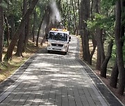 강화군, 산림병해충 선제적 방제 총력