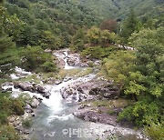 용추구곡 품은 가평 '연인산 명품 계곡길' 걷기 좋은 숲길 1위