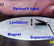 초전도학회 "퀀텀 검증위 구성…공개된 자료 초전도체라 할 수 없어"