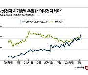 [실전재테크]예측불가 이차전지…대안은 역시 반도체?