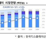 "현대차도, 포르쉐도 OLED 채용…韓 디스플레이가 대세화 주도해야"