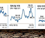 극한기후에 전쟁 겹치니 ‘침묵의 쓰나미’ 몰려온다[수요논점]