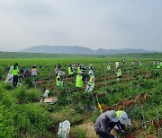 농협 임직원 청양 등 특별재난지역 찾아 봉사 활동