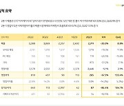 카카오게임즈 2분기 매출 2711억, 영업이익 265억