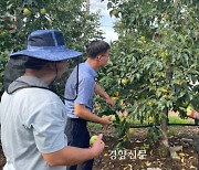 폭우·폭염에 두 번 우는 농민들···“올해 농사 모두 망쳤다”[현장에서]