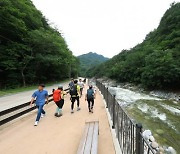 백담계곡 '순례길' 걸으며 숨겨진 비경 감상해요