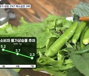 물가 2% 초반까지 낮아졌지만…집중호우로 신선채소 사라졌다