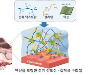 지스트·전남대병원, 심장에 바르는 심근경색 치료제 개발