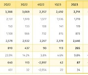 '어닝쇼크' 카카오게임즈, 2Q 영업익 전년比 67%↓