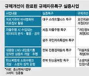 규제자유특구 덕에 의료 AI산업 '날개짓'...실증 통해 족쇄 풀었다