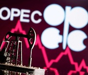 기름값 더 뛰나..."7월 OPEC 원유생산량, 3년 만에 최대 감소"