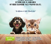 DB손보, 서울시와 유기동물 입양 활성화 앞장선다