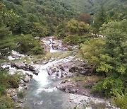 가평 연인산 계곡길, 산림청 선정 ‘걷기 좋은 명품숲길’ 1위