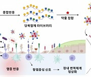 '현대인 고질병' 장염, 나노입자로 치료한다