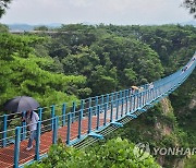 '출∼렁' 다리 건너며 폭염 극복하는 관광객