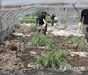 충남도 "집중호우 폐기물 처리비 100억원 넘을 듯"