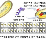 항생제 내성 생긴 슈퍼박테리아 잡는 강력 유효 물질 발굴