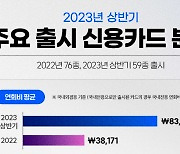 신용카드 평균 연회비 '8만원대'…작년 대비 2배↑