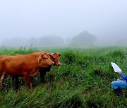 '제16회 동물사랑 사진 공모전' 수상작은…용산역에 작품 전시