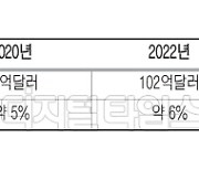 SW로 떠오르는 인도, 세계를 사로잡다