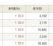 [fnRASSI]오늘의 상한가, 국일신동 30.0% ↑