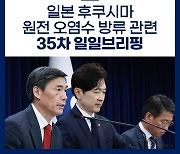 후쿠시마 원전 오염수 방류 관련 일일 브리핑(8.2.)