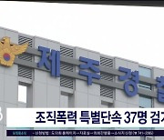 조직폭력 특별단속 37명 검거